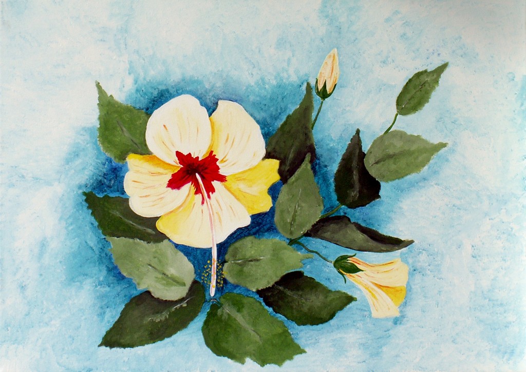 Bild Hibiskus